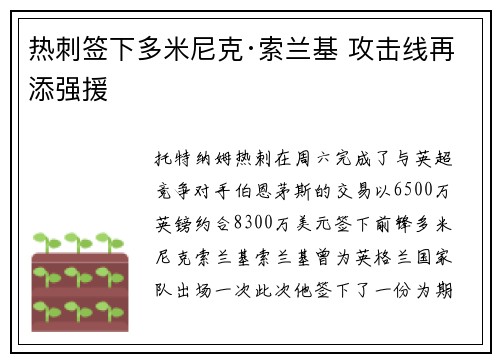 热刺签下多米尼克·索兰基 攻击线再添强援